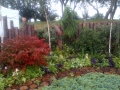 IMG-20120815-00076