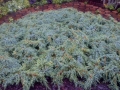 IMG-20120815-00077