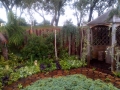 IMG-20120815-00078