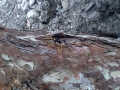 Sefton-20120803-00047